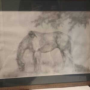 Charcoal